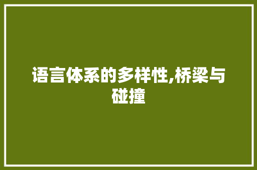 语言体系的多样性,桥梁与碰撞 网站建设公司