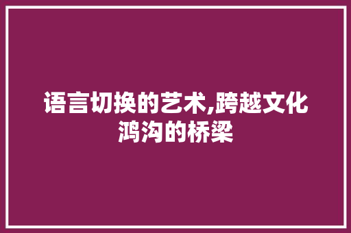 语言切换的艺术,跨越文化鸿沟的桥梁 神马SEO