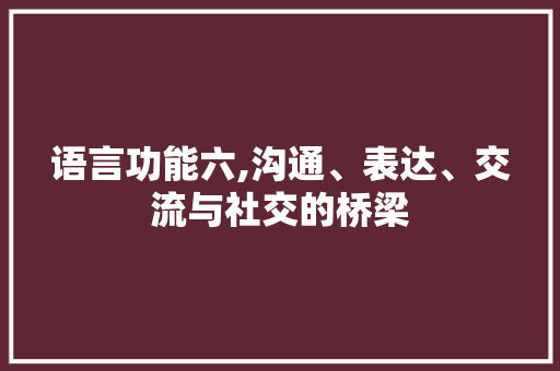 语言功能六,沟通、表达、交流与社交的桥梁 SEO关键词