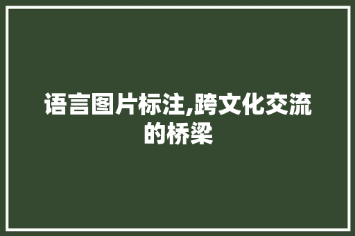 语言图片标注,跨文化交流的桥梁