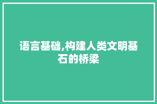 语言基础,构建人类文明基石的桥梁