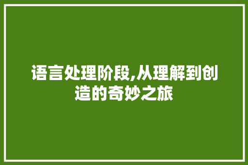 语言处理阶段,从理解到创造的奇妙之旅