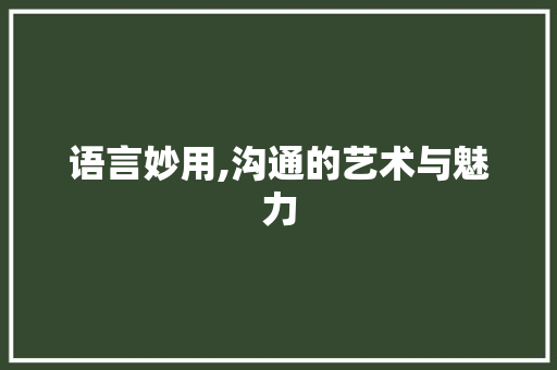 语言妙用,沟通的艺术与魅力