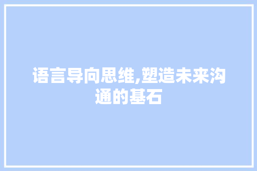 语言导向思维,塑造未来沟通的基石 百度SEO