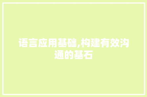 语言应用基础,构建有效沟通的基石