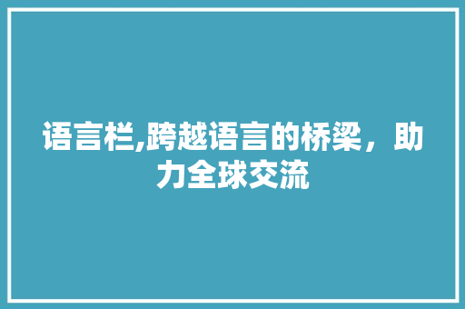 语言栏,跨越语言的桥梁，助力全球交流