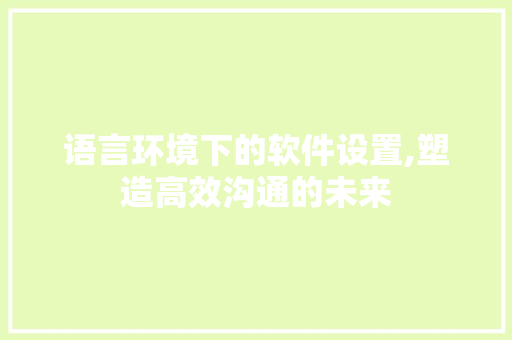 语言环境下的软件设置,塑造高效沟通的未来