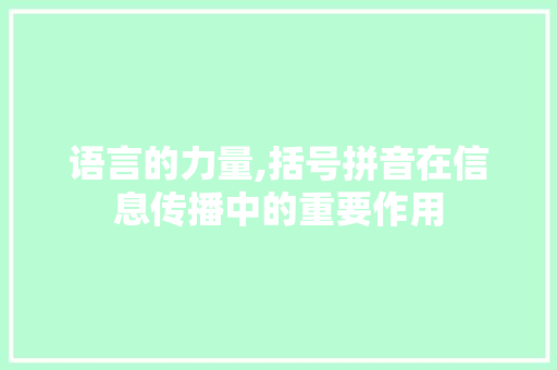语言的力量,括号拼音在信息传播中的重要作用 神马SEO