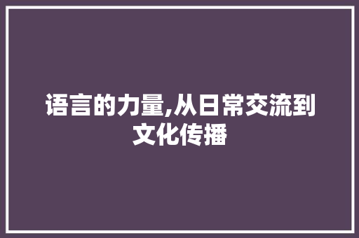 语言的力量,从日常交流到文化传播