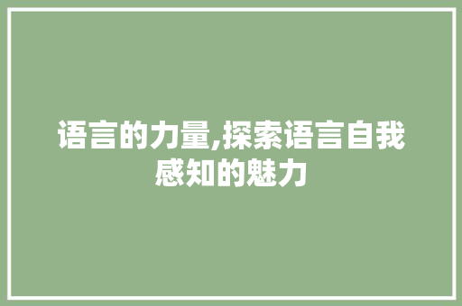 语言的力量,探索语言自我感知的魅力