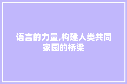 语言的力量,构建人类共同家园的桥梁
