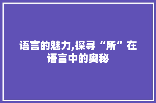 语言的魅力,探寻“所”在语言中的奥秘