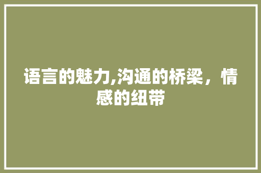 语言的魅力,沟通的桥梁，情感的纽带