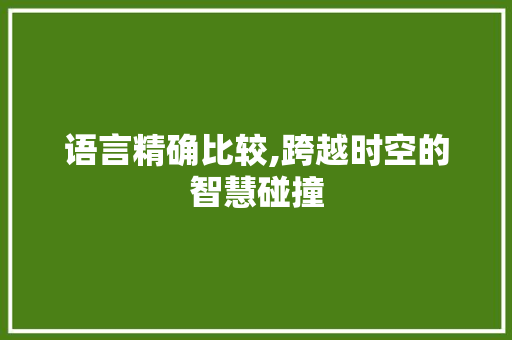 语言精确比较,跨越时空的智慧碰撞