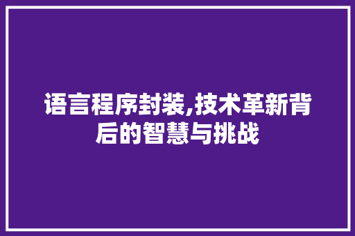 语言程序封装,技术革新背后的智慧与挑战