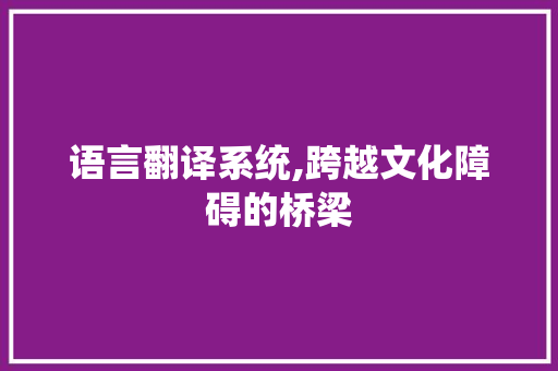 语言翻译系统,跨越文化障碍的桥梁