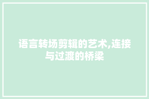 语言转场剪辑的艺术,连接与过渡的桥梁 网站建设公司
