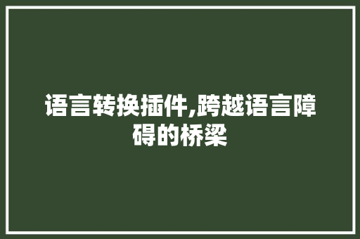 语言转换插件,跨越语言障碍的桥梁 百度SEO