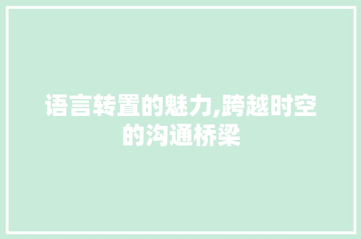 语言转置的魅力,跨越时空的沟通桥梁 搜狗SEO