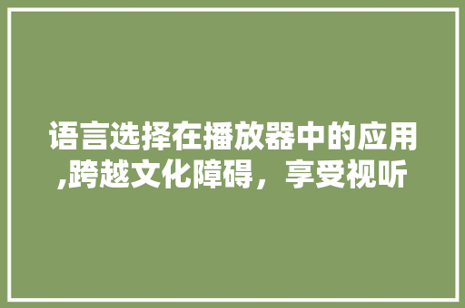 语言选择在播放器中的应用,跨越文化障碍，享受视听盛宴 网站建设公司