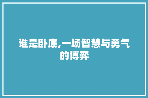 谁是卧底,一场智慧与勇气的博弈