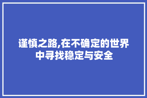谨慎之路,在不确定的世界中寻找稳定与安全