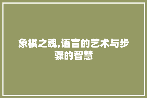 象棋之魂,语言的艺术与步骤的智慧