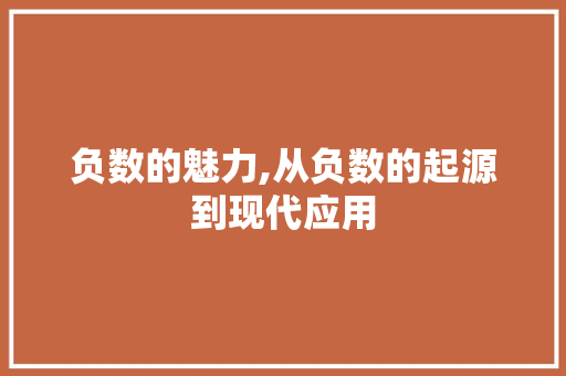 负数的魅力,从负数的起源到现代应用