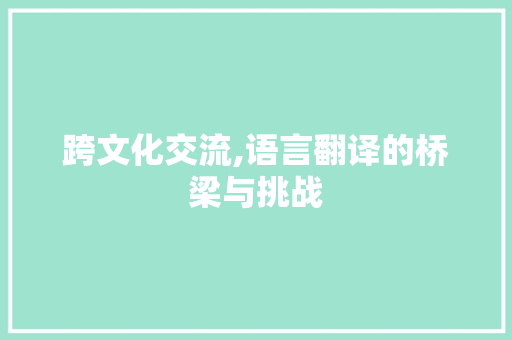 跨文化交流,语言翻译的桥梁与挑战