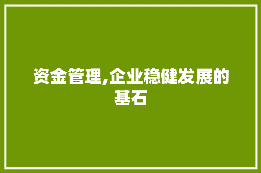 资金管理,企业稳健发展的基石