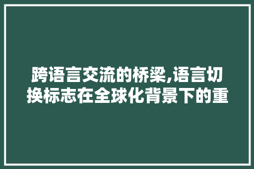 跨语言交流的桥梁,语言切换标志在全球化背景下的重要作用