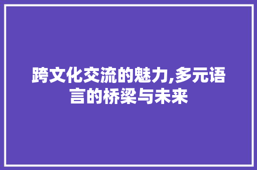 跨文化交流的魅力,多元语言的桥梁与未来