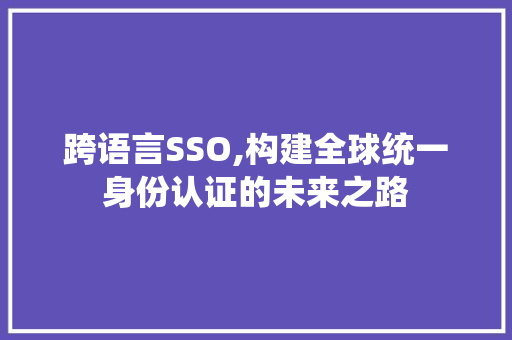 跨语言SSO,构建全球统一身份认证的未来之路