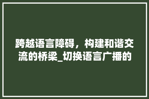 跨越语言障碍，构建和谐交流的桥梁_切换语言广播的探索与方法 必应SEO