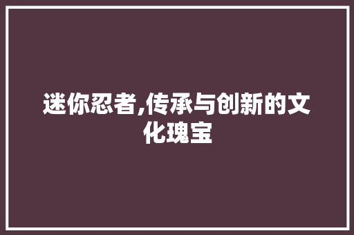 迷你忍者,传承与创新的文化瑰宝