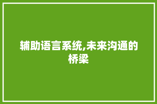 辅助语言系统,未来沟通的桥梁