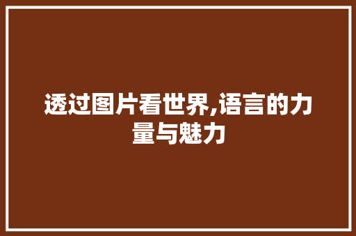 透过图片看世界,语言的力量与魅力 搜狗SEO