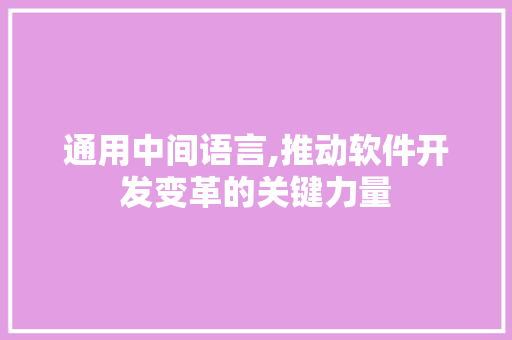 通用中间语言,推动软件开发变革的关键力量