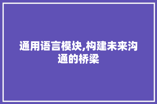 通用语言模块,构建未来沟通的桥梁