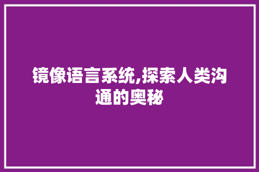镜像语言系统,探索人类沟通的奥秘