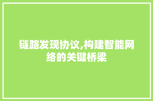 链路发现协议,构建智能网络的关键桥梁