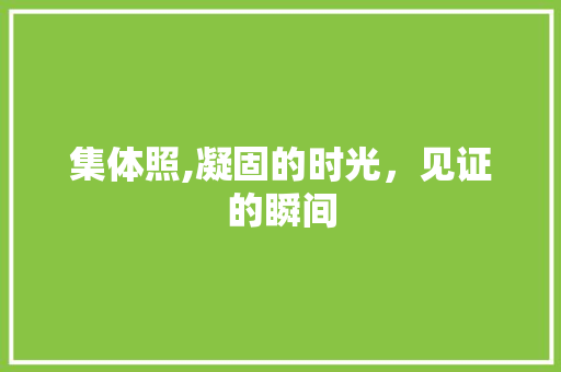 集体照,凝固的时光，见证的瞬间 必应SEO