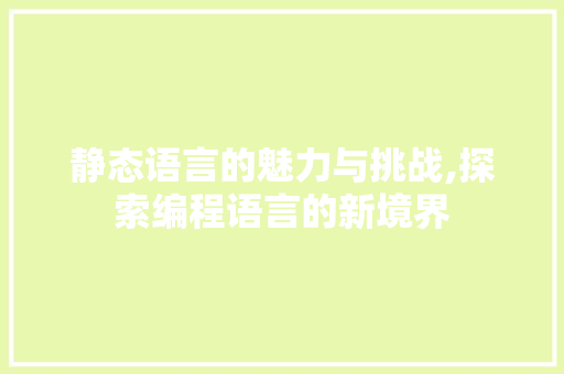静态语言的魅力与挑战,探索编程语言的新境界