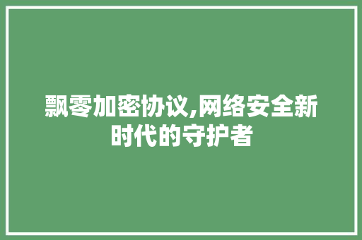 飘零加密协议,网络安全新时代的守护者