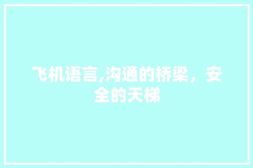 飞机语言,沟通的桥梁，安全的天梯