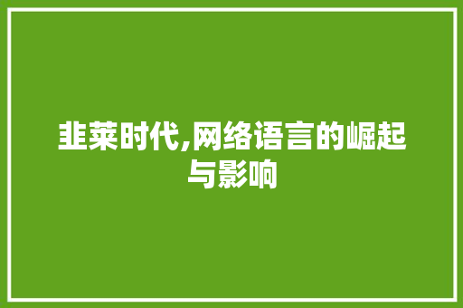 韭莱时代,网络语言的崛起与影响