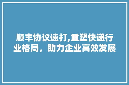 顺丰协议速打,重塑快递行业格局，助力企业高效发展