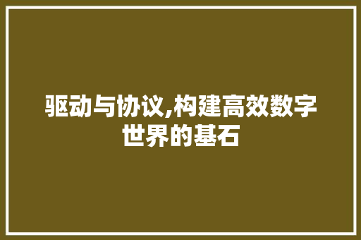 驱动与协议,构建高效数字世界的基石