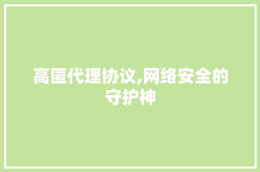高匿代理协议,网络安全的守护神