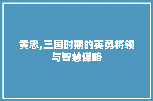 黄忠,三国时期的英勇将领与智慧谋略